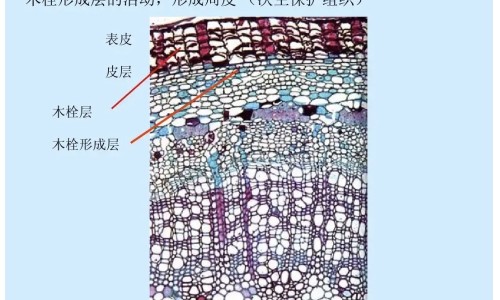【遗传的多手汗】遗传手汗症吃什么药 - 遗传性手出汗中医怎么治疗网