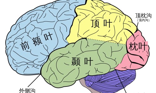遗传手汗症为啥手脚冰凉-【遗传的多手汗】遗传手汗症吃什么药 - 遗传性手出汗中医怎么治疗网